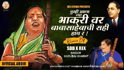 Tumhi Khata Tya Bhakarivar (Remix) - SDD X REX